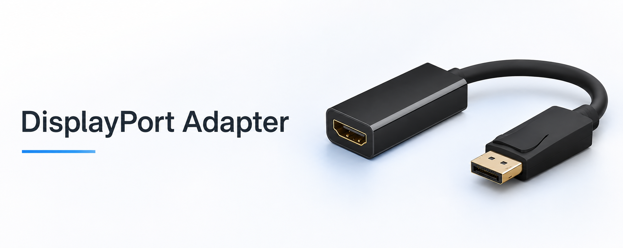 DisplayPort Adapter